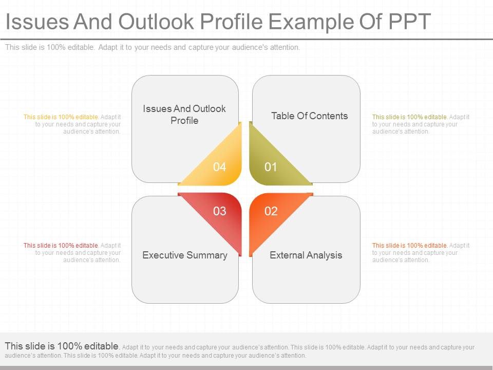 Issues_And_Outlook_Profile_Example_Of_Ppt_1.jpg