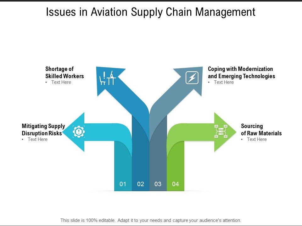 Issues_In_Aviation_Supply_Chain_Management_Ppt_PowerPoint_Presentation_Gallery_Display_Slide_1.jpg