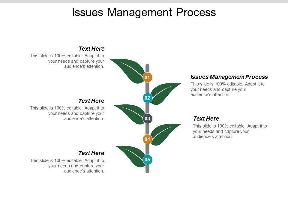 Issues_Management_Process_Ppt_PowerPoint_Presentation_Infographics_Designs_Download_Cpb_Slide_1.jpg