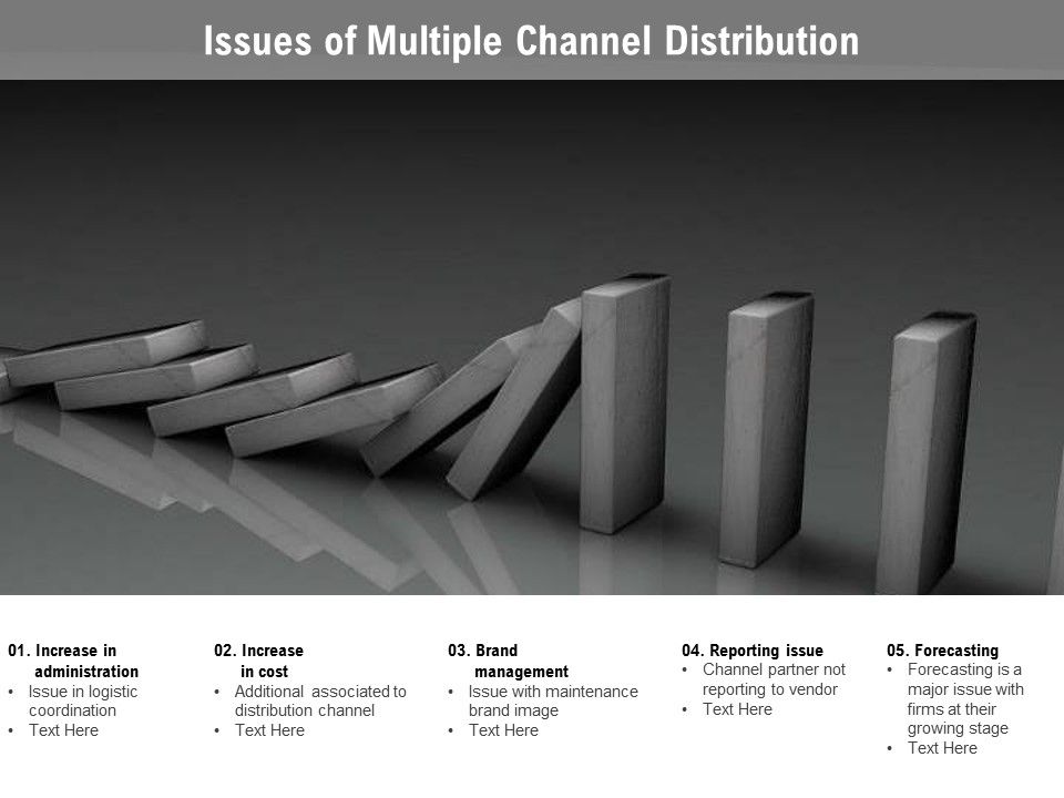 Issues_Of_Multiple_Channel_Distribution_Ppt_PowerPoint_Presentation_Icon_Model_Slide_1.jpg