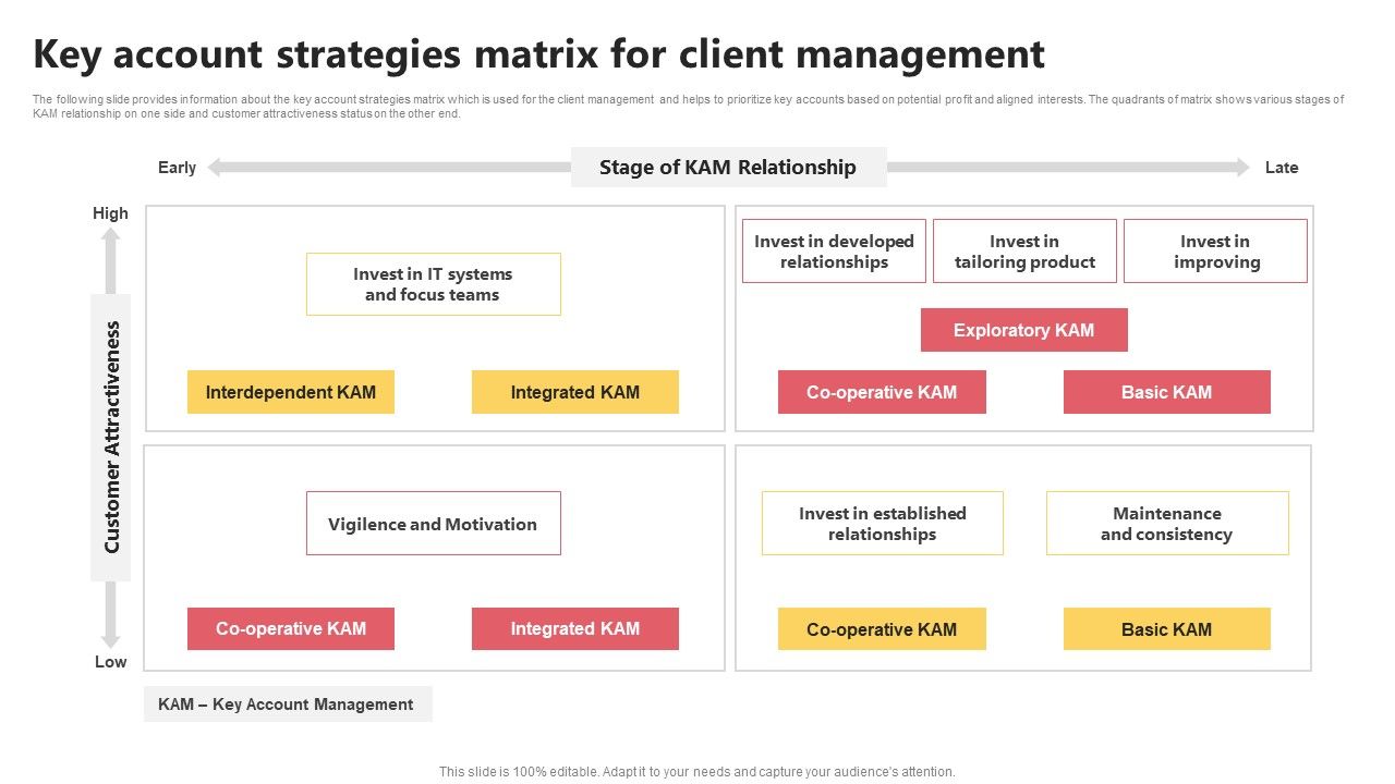 KAM_Evaluation_Procedure_In_The_Organization_Key_Account_Strategies_Matrix_Mockup_PDF_Slide_1.jpg