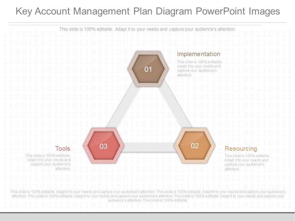 Key_Account_Management_Plan_Diagram_Powerpoint_Images_1.jpg