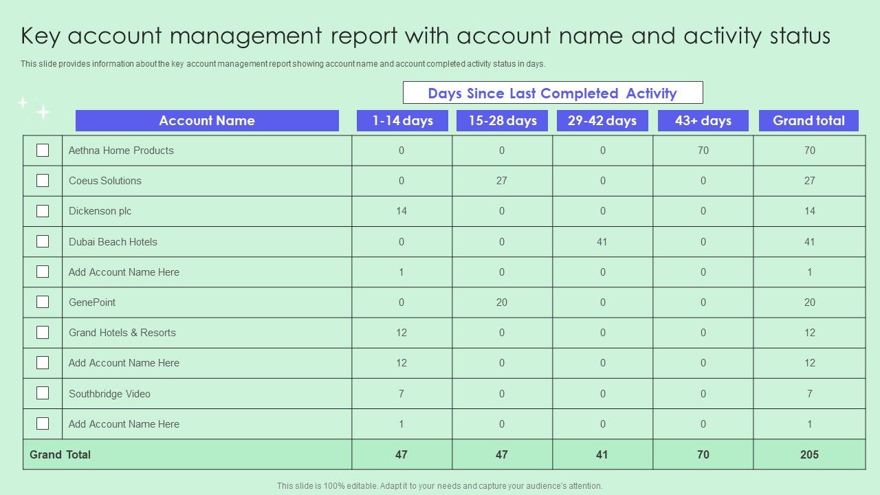 Key_Account_Management_Report_With_Account_Name_And_Activity_Status_Microsoft_PDF_Slide_1.jpg