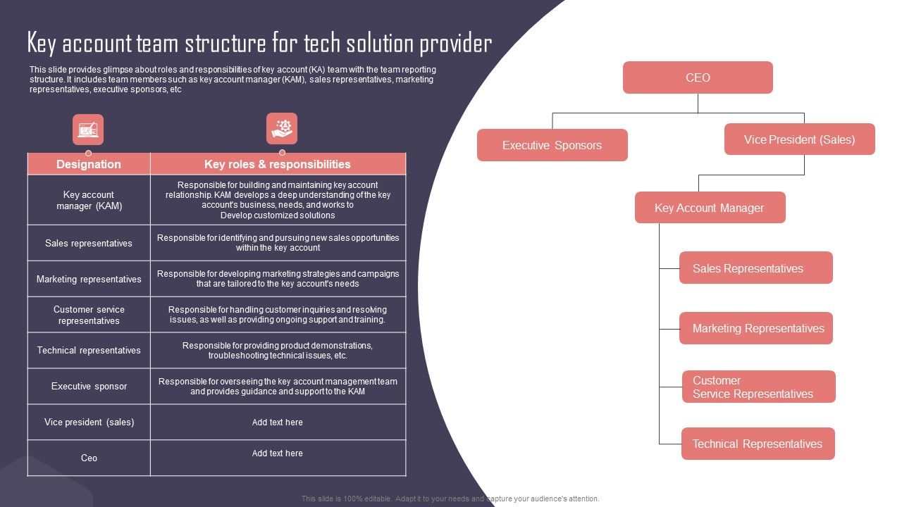 Key_Business_Account_Management_And_Planning_Techniques_Key_Account_Team_Structure_For_Tech_Solution_Provider_Pictures_PDF_Slide_1.jpg