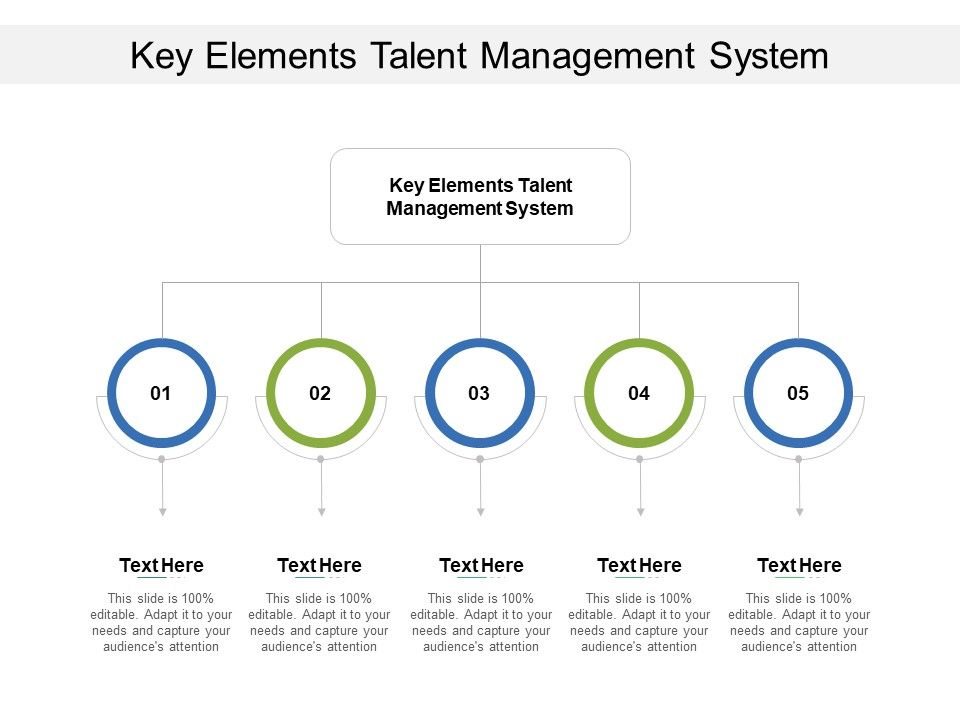 Key_Elements_Talent_Management_System_Ppt_PowerPoint_Presentation_Professional_Backgrounds_Cpb_Slide_1.jpg