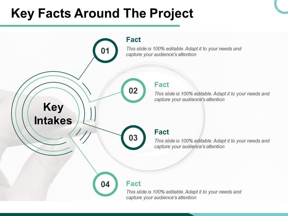 Key_Facts_Around_The_Project_Ppt_PowerPoint_Presentation_Portfolio_Graphics_Example_Slide_1.jpg