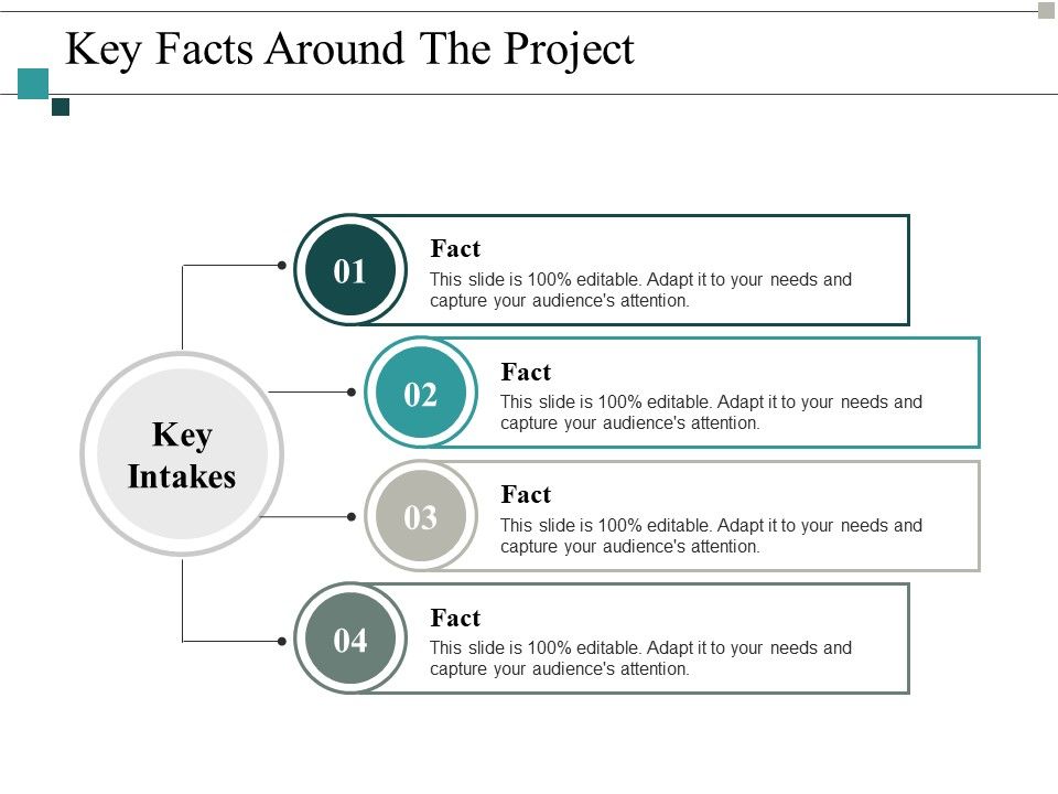 Key_Facts_Around_The_Project_Ppt_PowerPoint_Presentation_Summary_Design_Inspiration_Slide_1.jpg