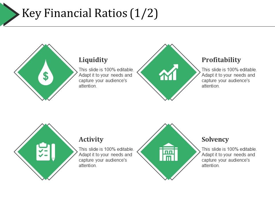 Key_Financial_Ratios_Template_2_Ppt_PowerPoint_Presentation_Summary_Graphics_Tutorials_Slide_1.jpg