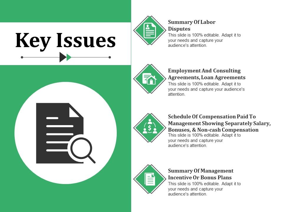 Key_Issues_Ppt_PowerPoint_Presentation_Layouts_Introduction_Slide_1.jpg