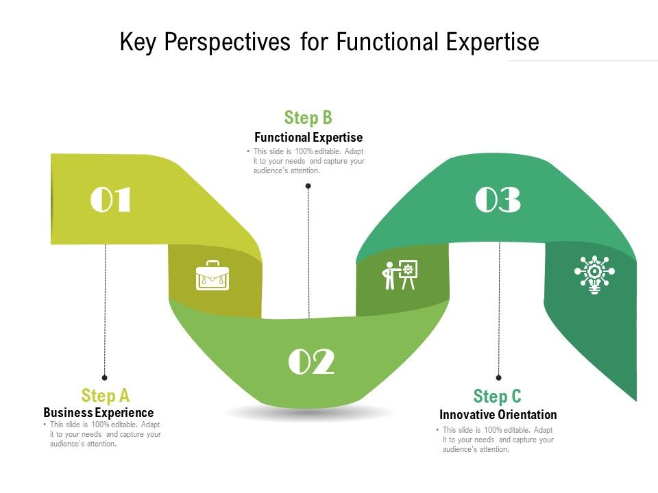 Key_Perspectives_For_Functional_Expertise_Ppt_PowerPoint_Presentation_Inspiration_Design_Templates_PDF_Slide_1.jpg