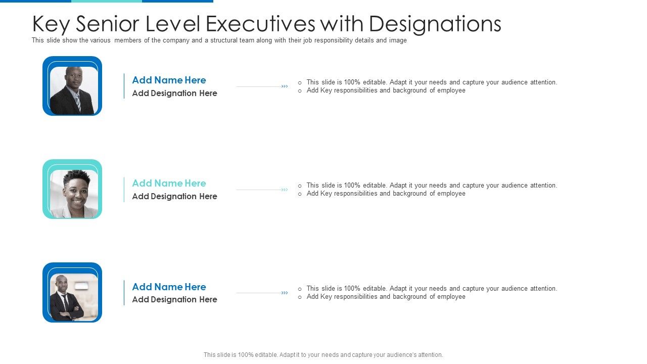 Key_Senior_Level_Executives_With_Designations_Ppt_Outline_File_Formats_Slide_1.jpg