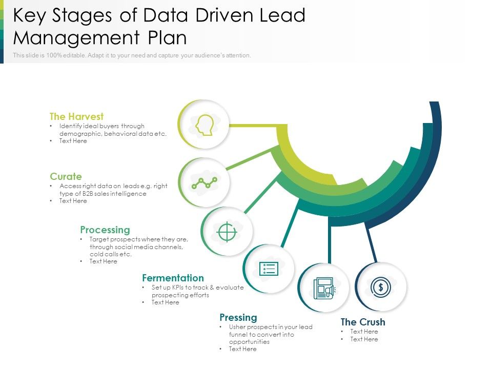 Key_Stages_Of_Data_Driven_Lead_Management_Plan_Ppt_PowerPoint_Presentation_Show_Ideas_PDF_Slide_1.jpg
