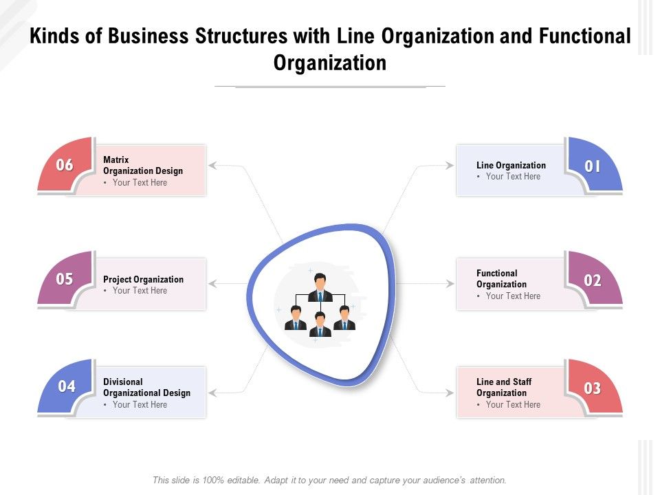 Kinds_Of_Business_Structures_With_Line_Organization_And_Functional_Organization_Ppt_PowerPoint_Presentation_Show_Graphics_PDF_Slide_1.jpg