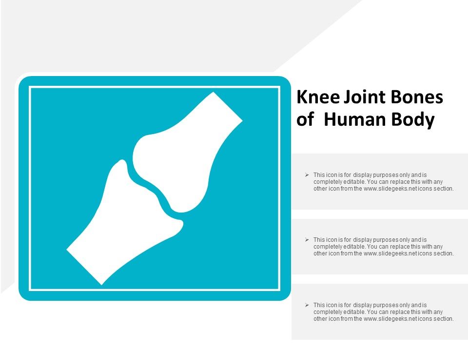 Knee_Joint_Bones_Of_Human_Body_Ppt_PowerPoint_Presentation_Slides_Master_Slide_Slide_1.jpg