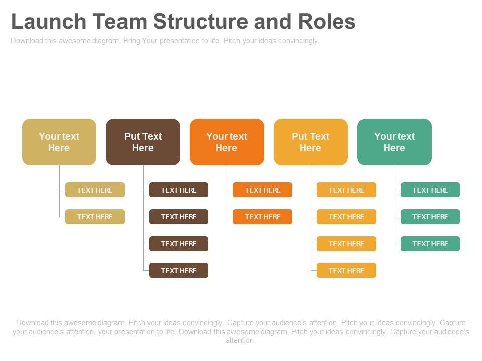 Launch_Team_Structure_And_Roles_Business_Ppt_Slides_1.jpg