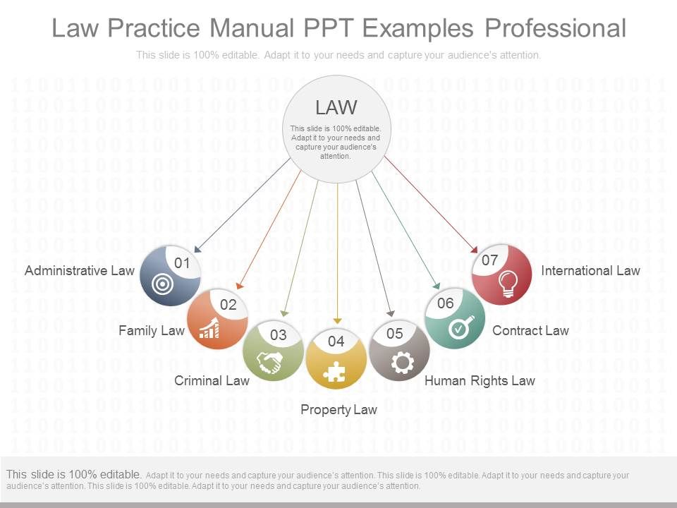 Law_Practice_Manual_Ppt_Examples_Professional_1.jpg