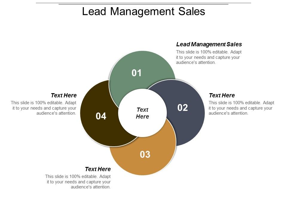 Lead_Management_Sales_Ppt_PowerPoint_Presentation_Portfolio_Graphic_Images_Slide_1.jpg