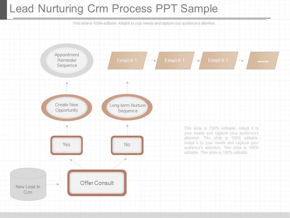 Lead_Nurturing_Crm_Process_Ppt_Sample_1.jpg