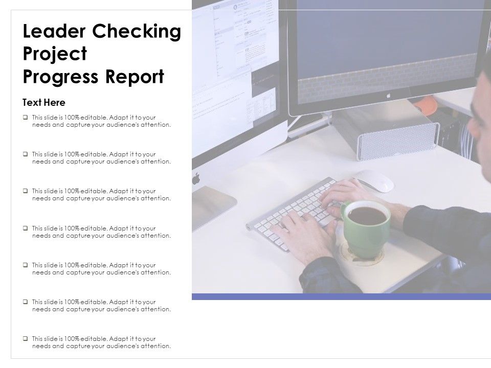 Leader_Checking_Project_Progress_Report_Ppt_PowerPoint_Presentation_Professional_Example_PDF_Slide_1.jpg