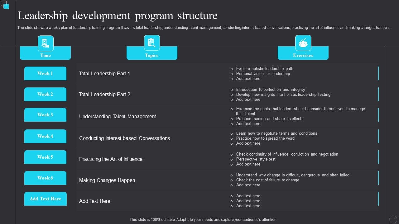 Leadership_Development_Program_Structure_Professional_PDF_Slide_1.jpg