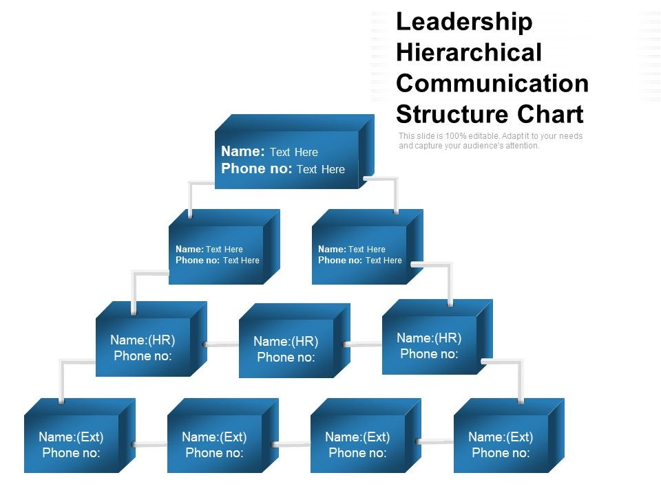 Leadership_Hierarchical_Communication_Structure_Chart_Ppt_PowerPoint_Presentation_File_Tips_PDF_Slide_1.jpg