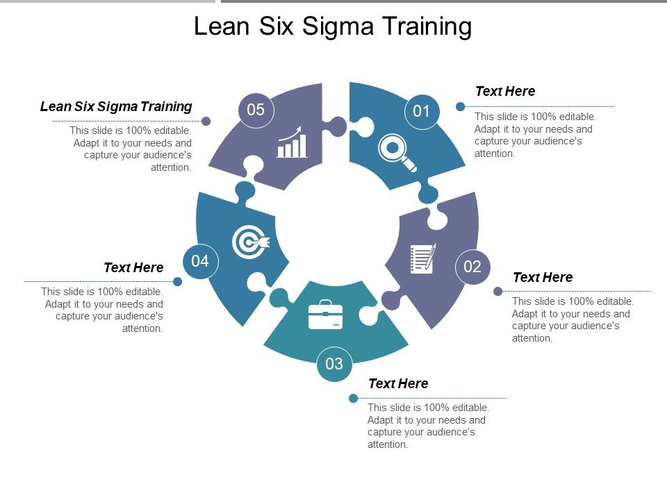 Lean_Six_Sigma_Training_Ppt_PowerPoint_Presentation_Portfolio_Layouts_Slide_1.jpg