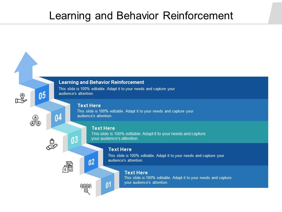 Learning_And_Behavior_Reinforcement_Ppt_PowerPoint_Presentation_Professional_Example_File_Cpb_Slide_1.jpg