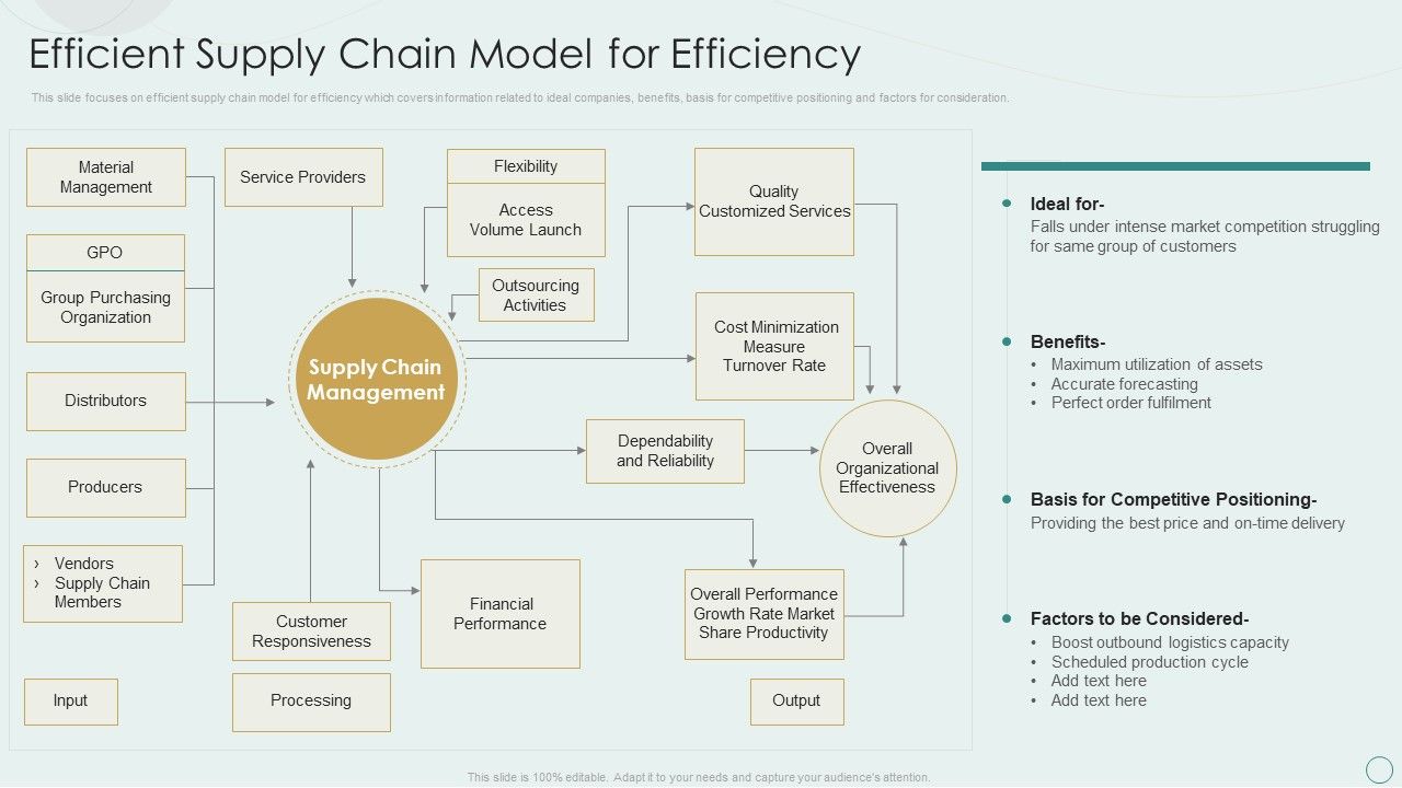 Learning_Various_Supply_Chain_Models_Efficient_Supply_Chain_Model_For_Efficiency_Sample_PDF_Slide_1.jpg
