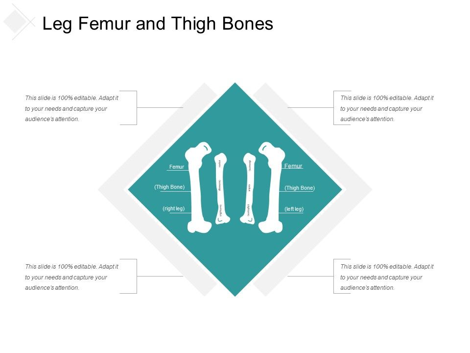 Leg_Femur_And_Thigh_Bones_Ppt_PowerPoint_Presentation_Professional_Themes_Slide_1.jpg