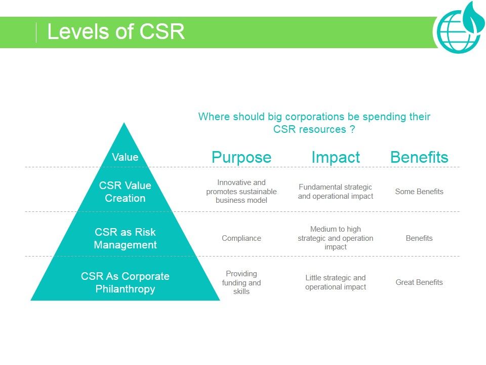 Levels_Of_Csr_Ppt_PowerPoint_Presentation_Examples_Slide_1.jpg