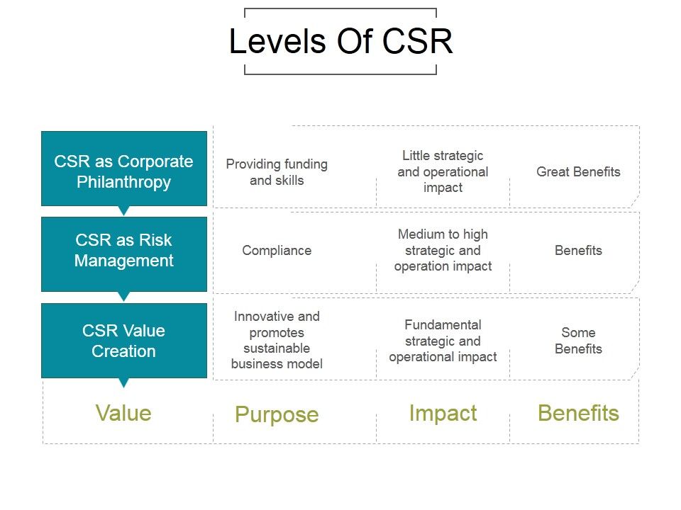 Levels_Of_Csr_Ppt_PowerPoint_Presentation_Information_Slide_1.jpg