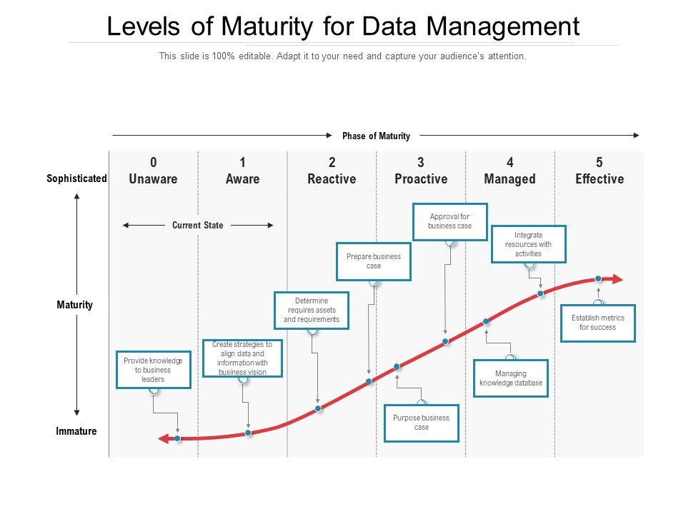 Levels_Of_Maturity_For_Data_Management_Ppt_PowerPoint_Presentation_File_Model_PDF_Slide_1.jpg