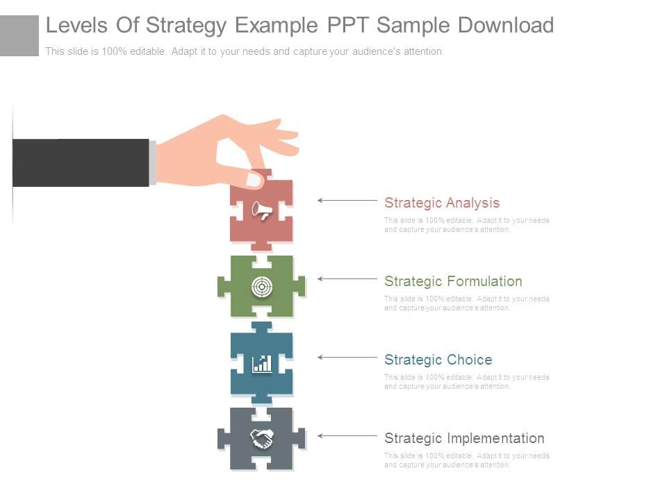 Levels_Of_Strategy_Example_Ppt_Sample_Download_1.jpg