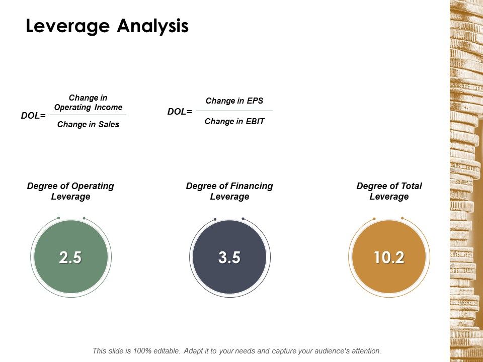 Leverage_Analysis_Ppt_PowerPoint_Presentation_Styles_Graphics_Example_Slide_1.jpg