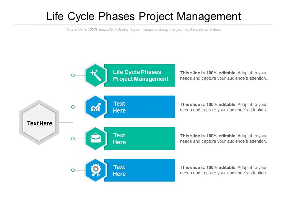 Life_Cycle_Phases_Project_Management_Ppt_PowerPoint_Presentation_Visual_Aids_Inspiration_Cpb_Slide_1.jpg