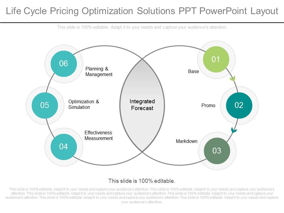 Life_Cycle_Pricing_Optimization_Solutions_Ppt_Powerpoint_Layout_1.jpg