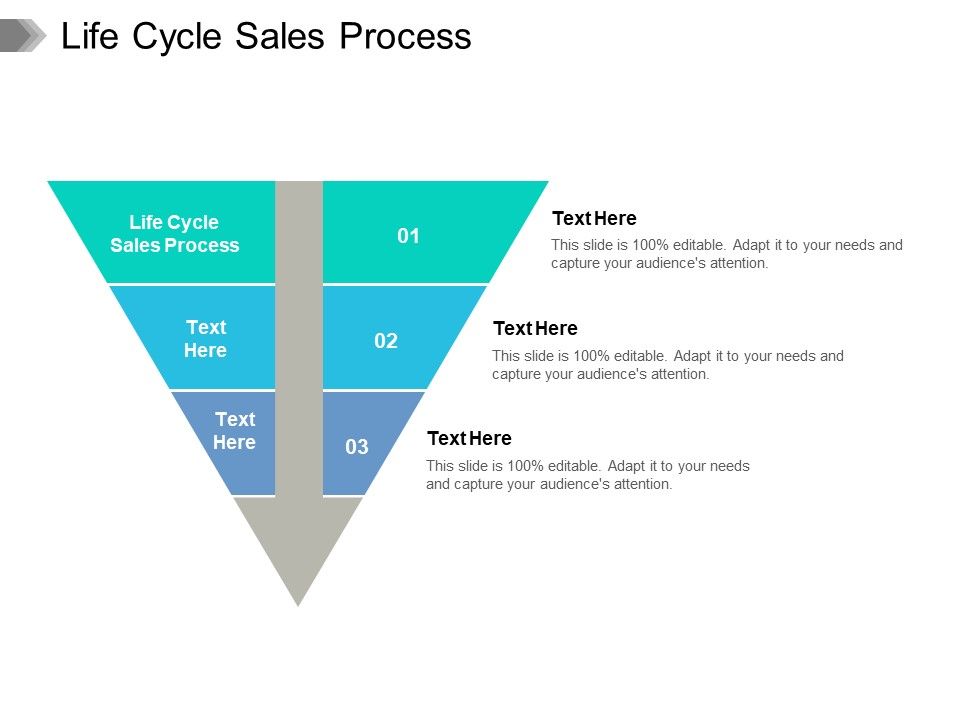 Life_Cycle_Sales_Process_Ppt_PowerPoint_Presentation_Model_Infographic_Template_Cpb_Pdf_Slide_1.jpg