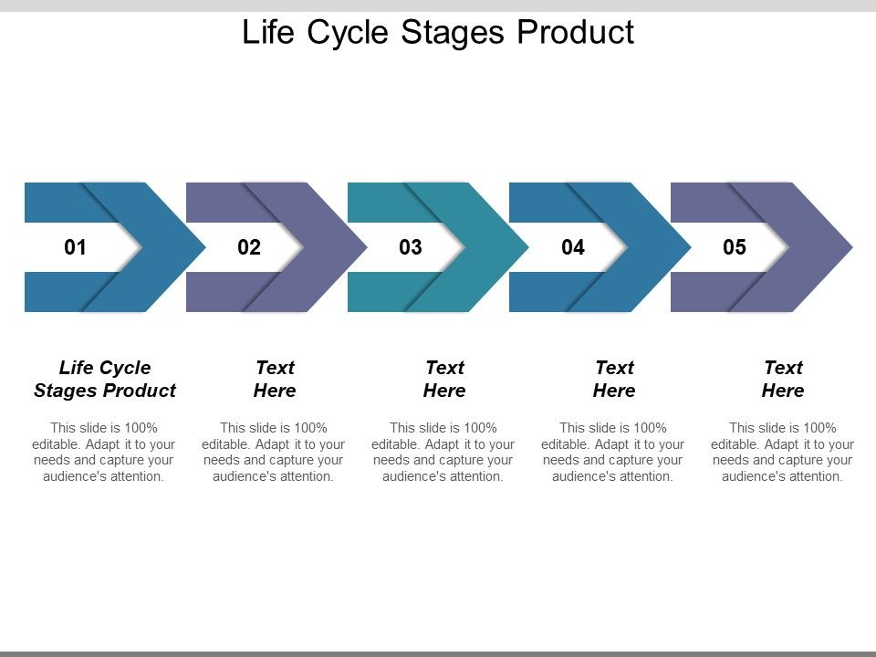 Life_Cycle_Stages_Product_Ppt_PowerPoint_Presentation_Infographic_Template_Layout_Ideas_Slide_1.jpg