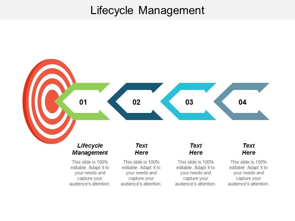 Lifecycle_Management_Ppt_PowerPoint_Presentation_Portfolio_Vector_Cpb_Slide_1.jpg