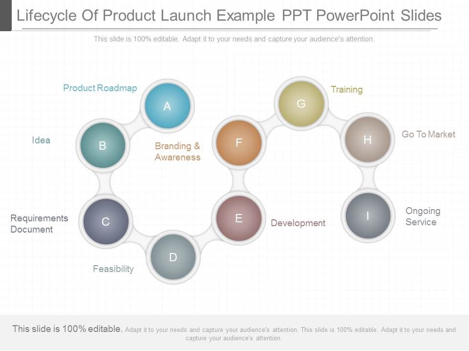 Lifecycle_Of_Product_Launch_Example_Ppt_Powerpoint_Slides_1.jpg