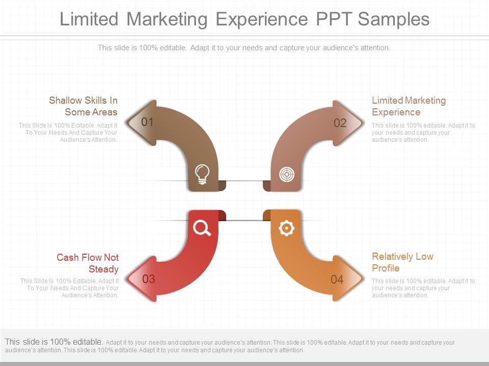 Limited_Marketing_Experience_Ppt_Samples_1.jpg
