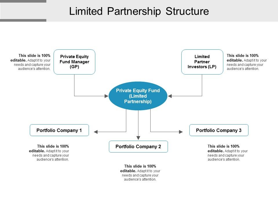 Limited_Partnership_Structure_Ppt_PowerPoint_Presentation_Outline_Rules_Slide_1.jpg