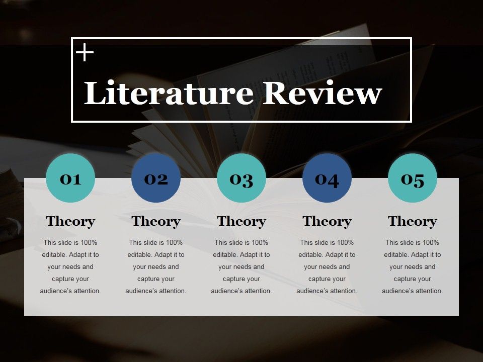 Literature_Review_Ppt_PowerPoint_Presentation_Outline_Slide_Slide_1.jpg