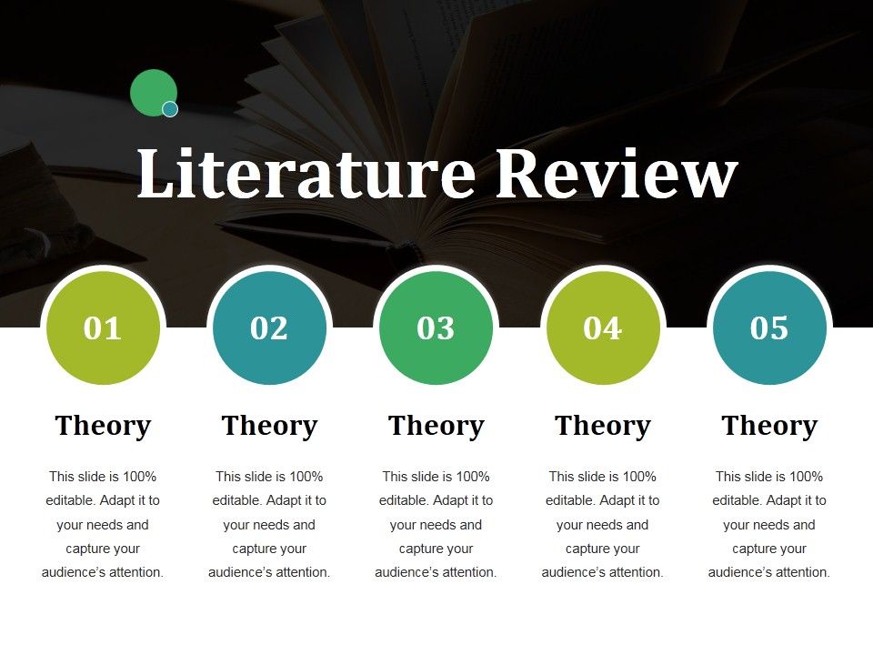 Literature_Review_Ppt_PowerPoint_Presentation_Visual_Aids_Show_Slide_1.jpg