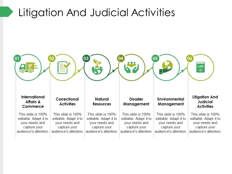 Litigation_And_Judicial_Activities_Ppt_PowerPoint_Presentation_Summary_Outfit_Slide_1.jpg