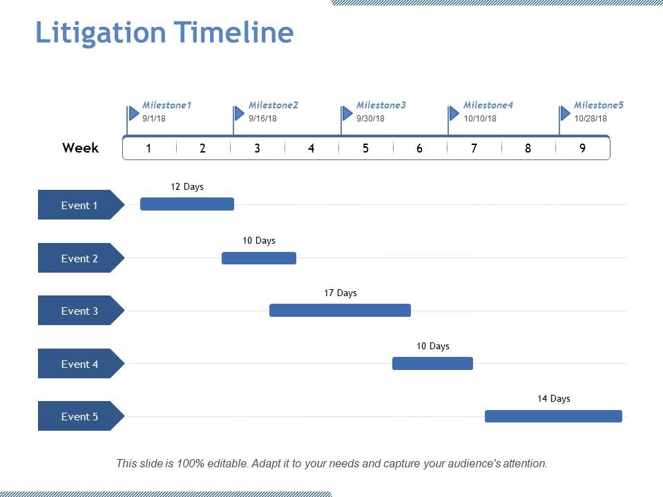 Litigation_Timeline_Ppt_PowerPoint_Presentation_Icon_Vector_Slide_1.jpg