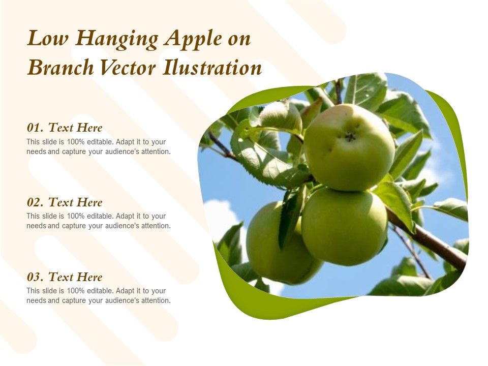 Low_Hanging_Apple_On_Branch_Vector_Ilustration_Ppt_PowerPoint_Presentation_File_Picture_PDF_Slide_1.jpg