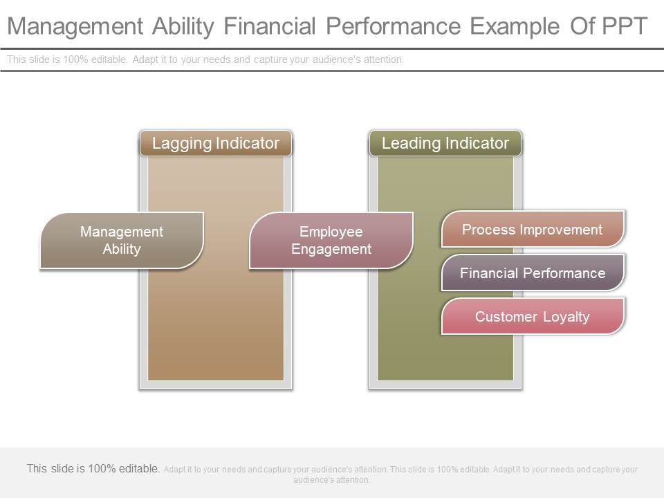 Management_Ability_Financial_Performance_Example_Of_Ppt_1.jpg
