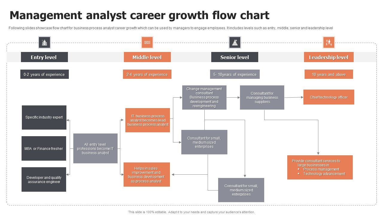 Management_Analyst_Career_Growth_Flow_Chart_Ppt_Portfolio_Shapes_PDF_Slide_1.jpg