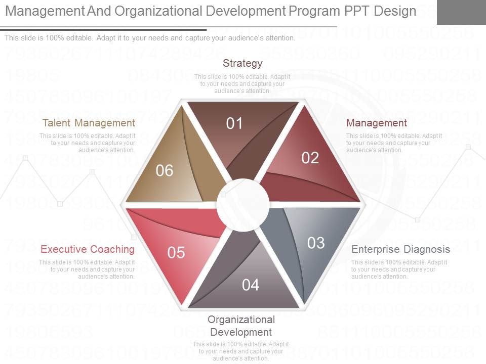 Management_And_Organizational_Development_Program_Ppt_Design_1.jpg